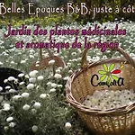 Les Belles Epoques - Proche Puy Du Fou לינה וארוחת בוקר 3*