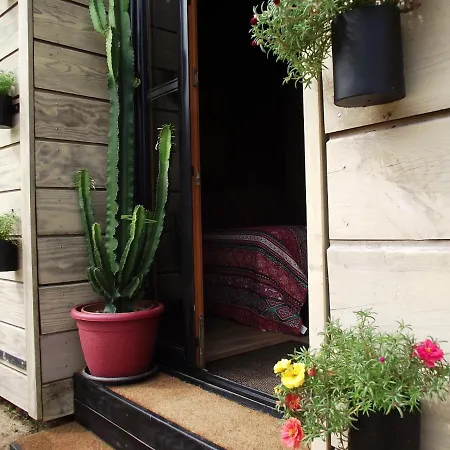 Bed & Breakfast Les Belles Epoques - Proche Puy Du Fou Montfaucon (Gard)