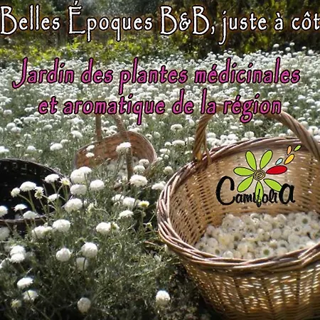 Les Belles Epoques - Proche Puy Du Fou Bed & Breakfast 3*