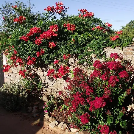 Les Belles Epoques - Proche Puy Du Fou Bed & Breakfast Montfaucon (Gard)