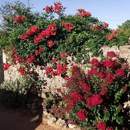LES BELLES ÉPOQUES B&B - JACUZZI - PISCINE - TERRASSES - BRUMISATEURS - Proche Puy du Fou Couette-café Saint-Germain-sur-Moine