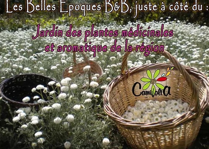 Les Belles Epoques - Proche Puy Du Fou B&B 3*