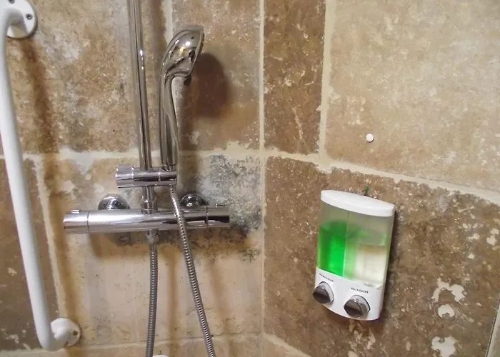 Les Belles Epoques - Proche Puy Du Fou 3* Montfaucon (Gard)